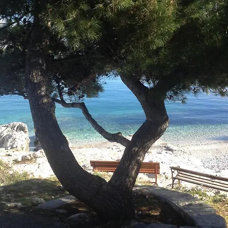 Apartman Zlatka Trogir